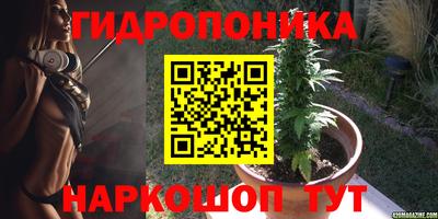 apvp Камышлов