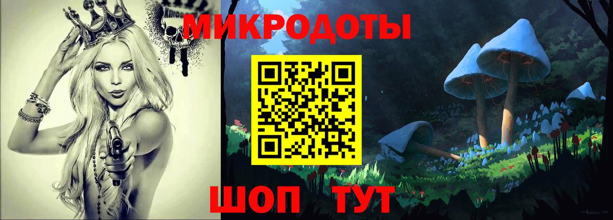 Курчалой  где купить наркоту  Вход с VPN  Галлюциногенные грибы Magic Shrooms 