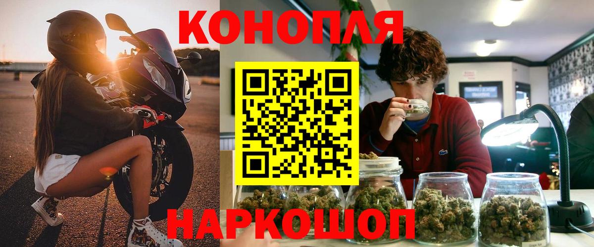МАРИХУАНА планчик Курчалой